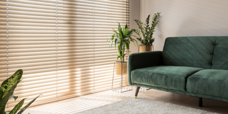 About Discover Interiors, Cape Coral, FL