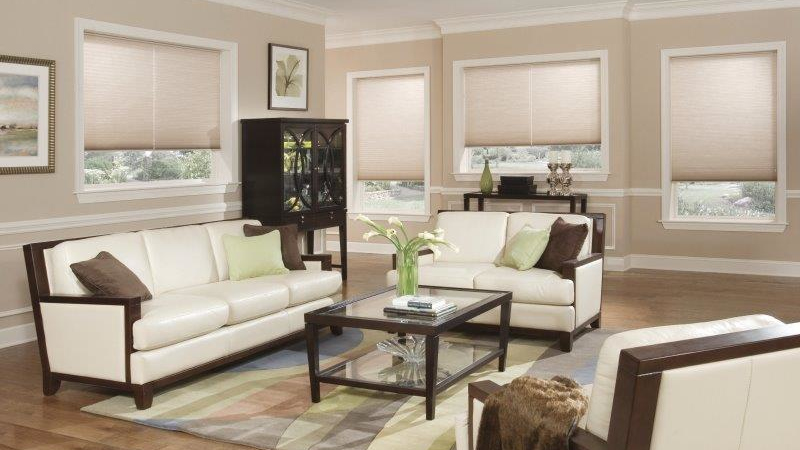 Motorized Blinds in Cape Coral, Florida